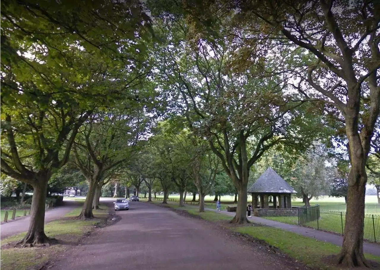 Wild waterfowl found dead at park in Yorkshire prompting warning from council