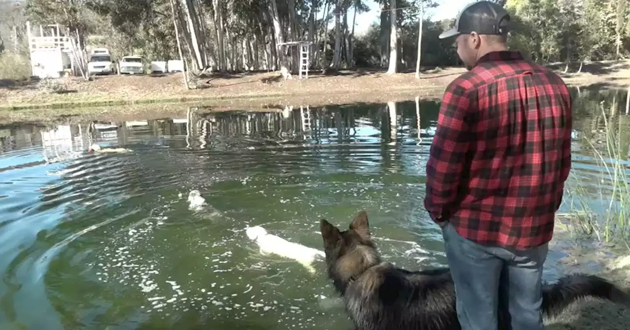 App turns San Diego County yards into private dog parks