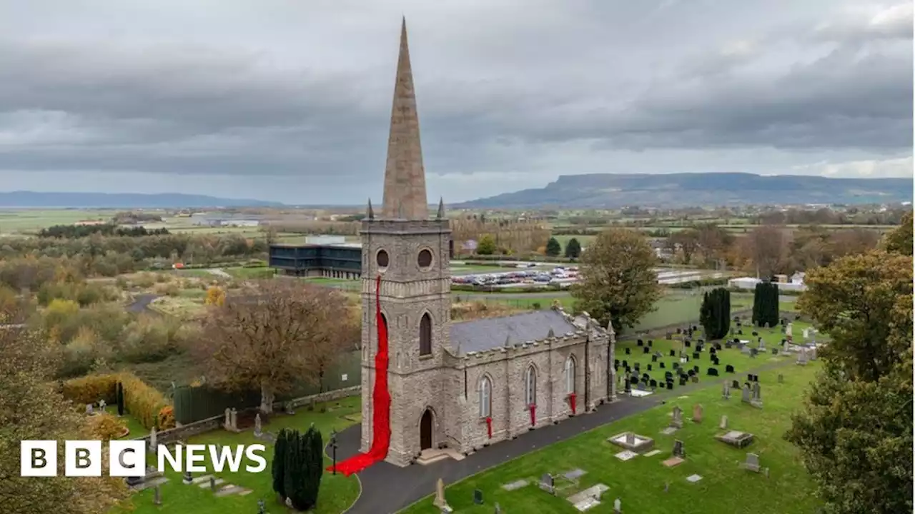 Remembrance: 10,000 knitted poppies and a brave Irish nurse