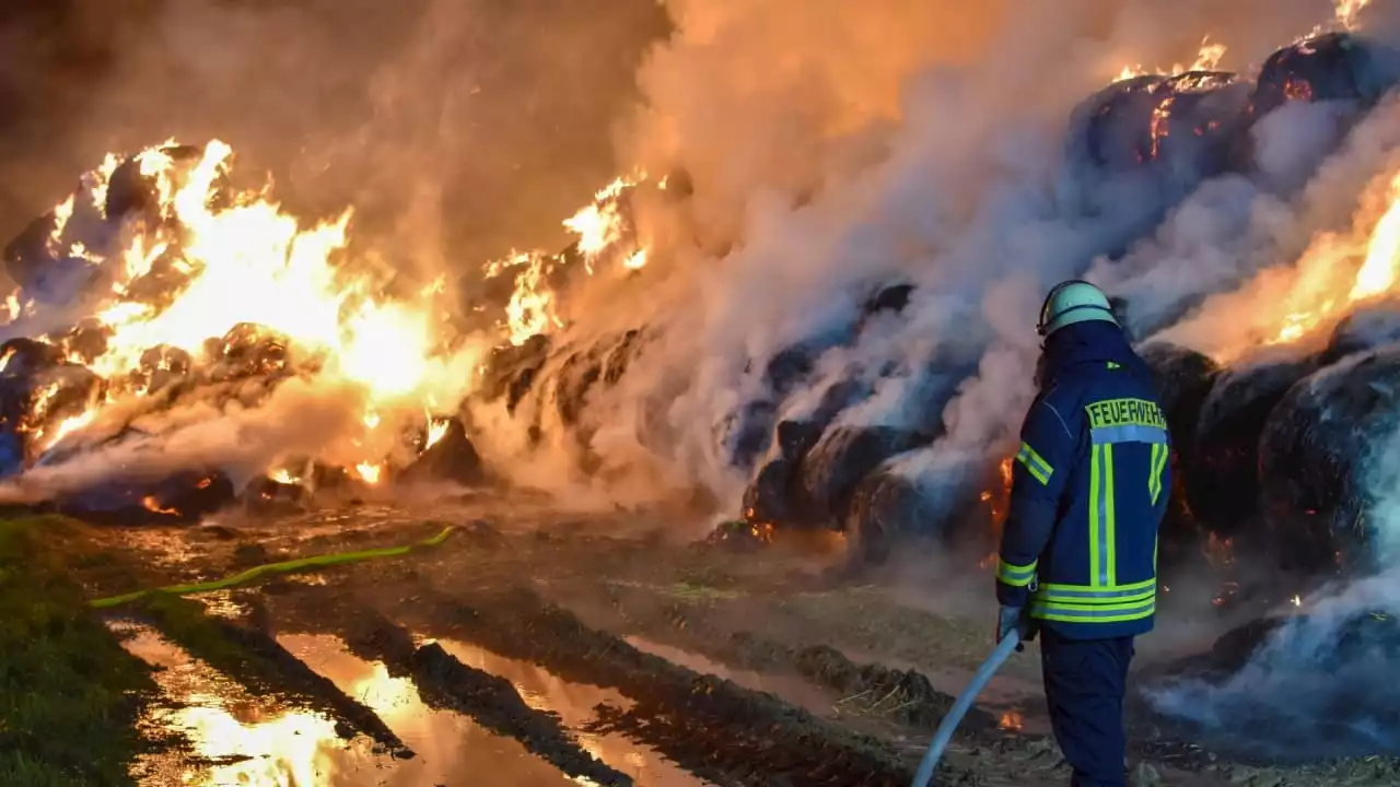 300 Heuballen in Flammen: Schon wieder Brandstiftung an Reitanlage?