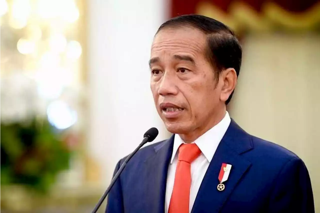 Presiden Jokowi: Asean–India Harus Menjadi Penjaga Stabilitas di Indo-Pasifik