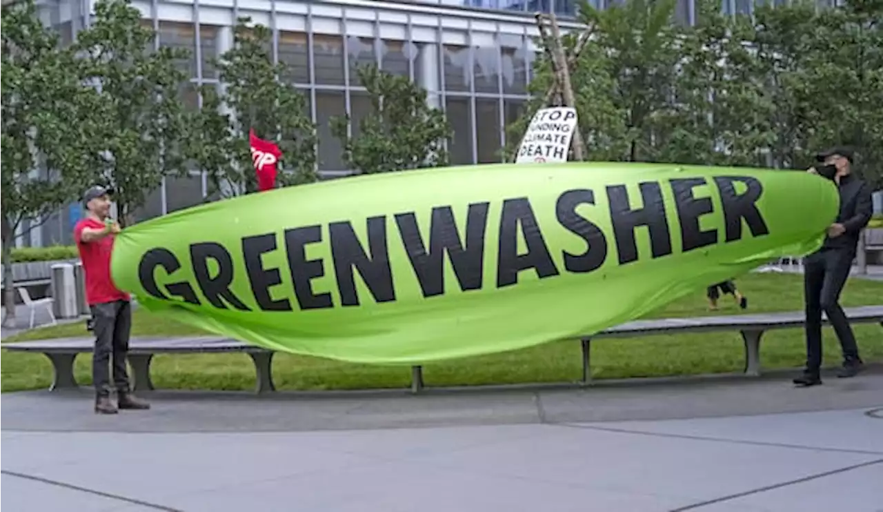 Bürger vermuten «Greenwashing» bei Firmen - Lippenbekenntnis zu Umweltengagement