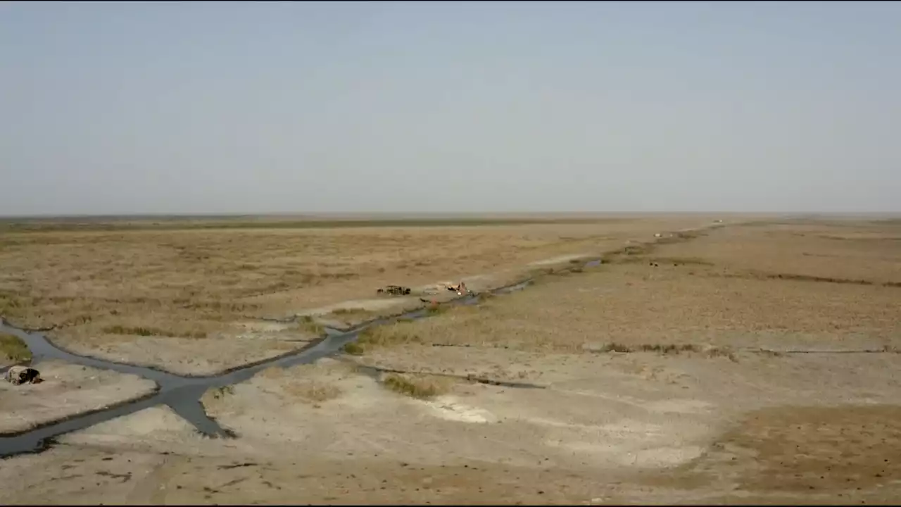 ‘There is no future’ Iraq’s rivers are drying up