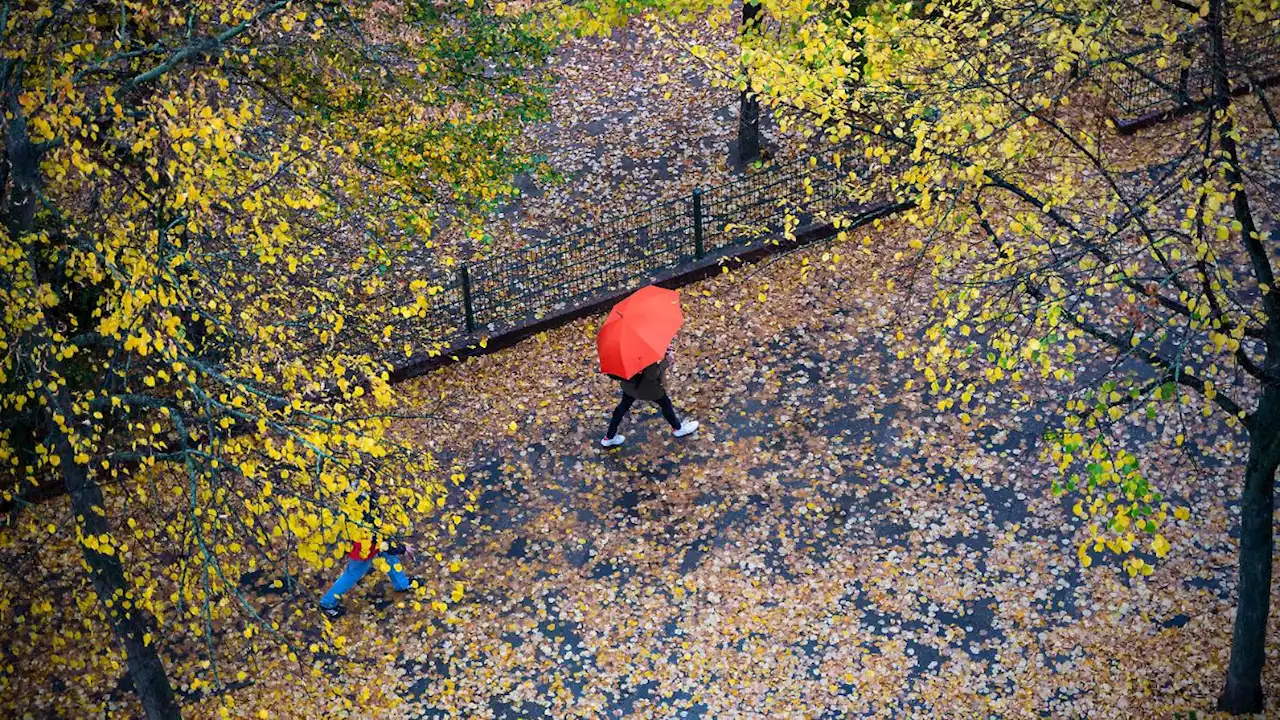 Der Winter pirscht sich langsam an