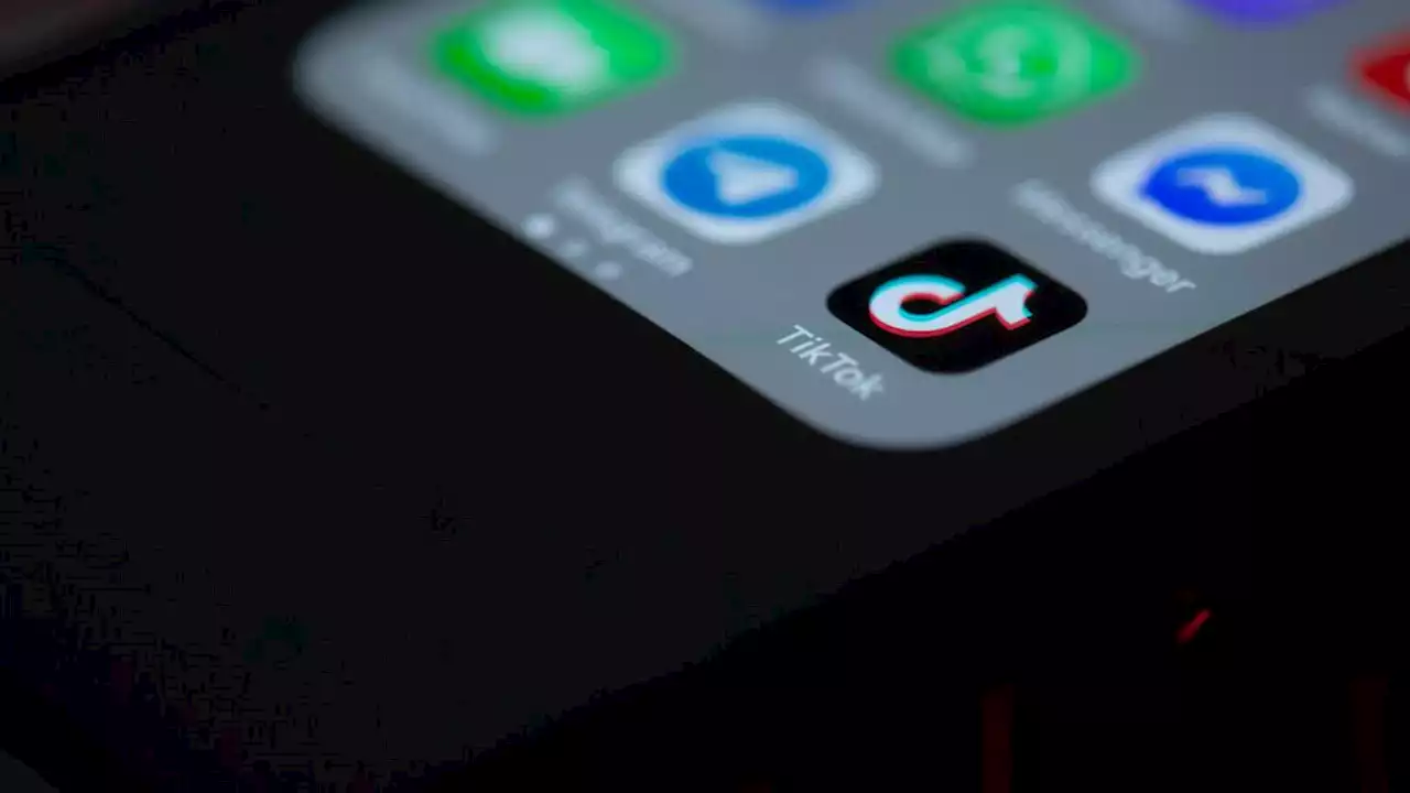 Un jeune homme arrêté après la diffusion d'une vidéo très perturbante sur TikTok