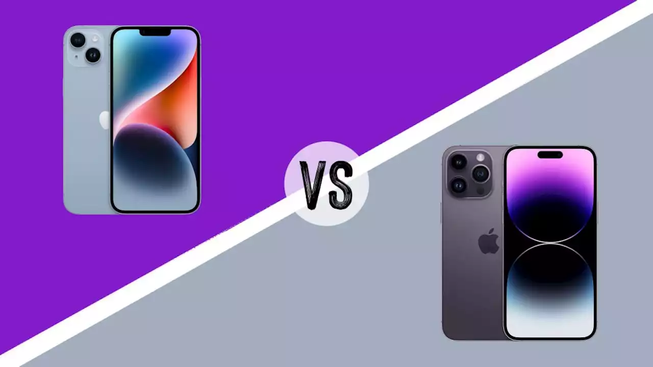 iPhone 14 Plus vs iPhone 14 Pro Max: Which is best?