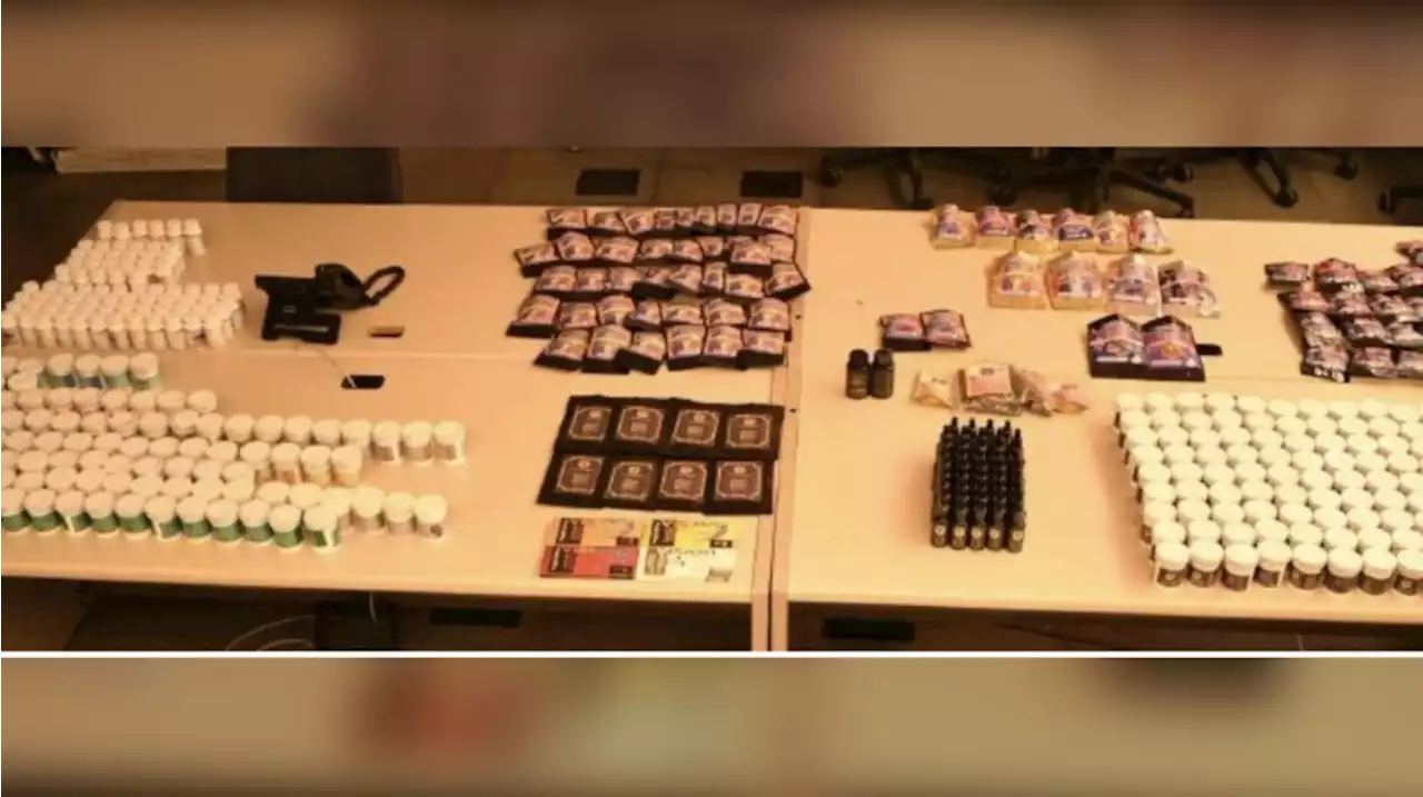 Two men arrested, drugs seized following raid at west Toronto magic mushroom dispensary