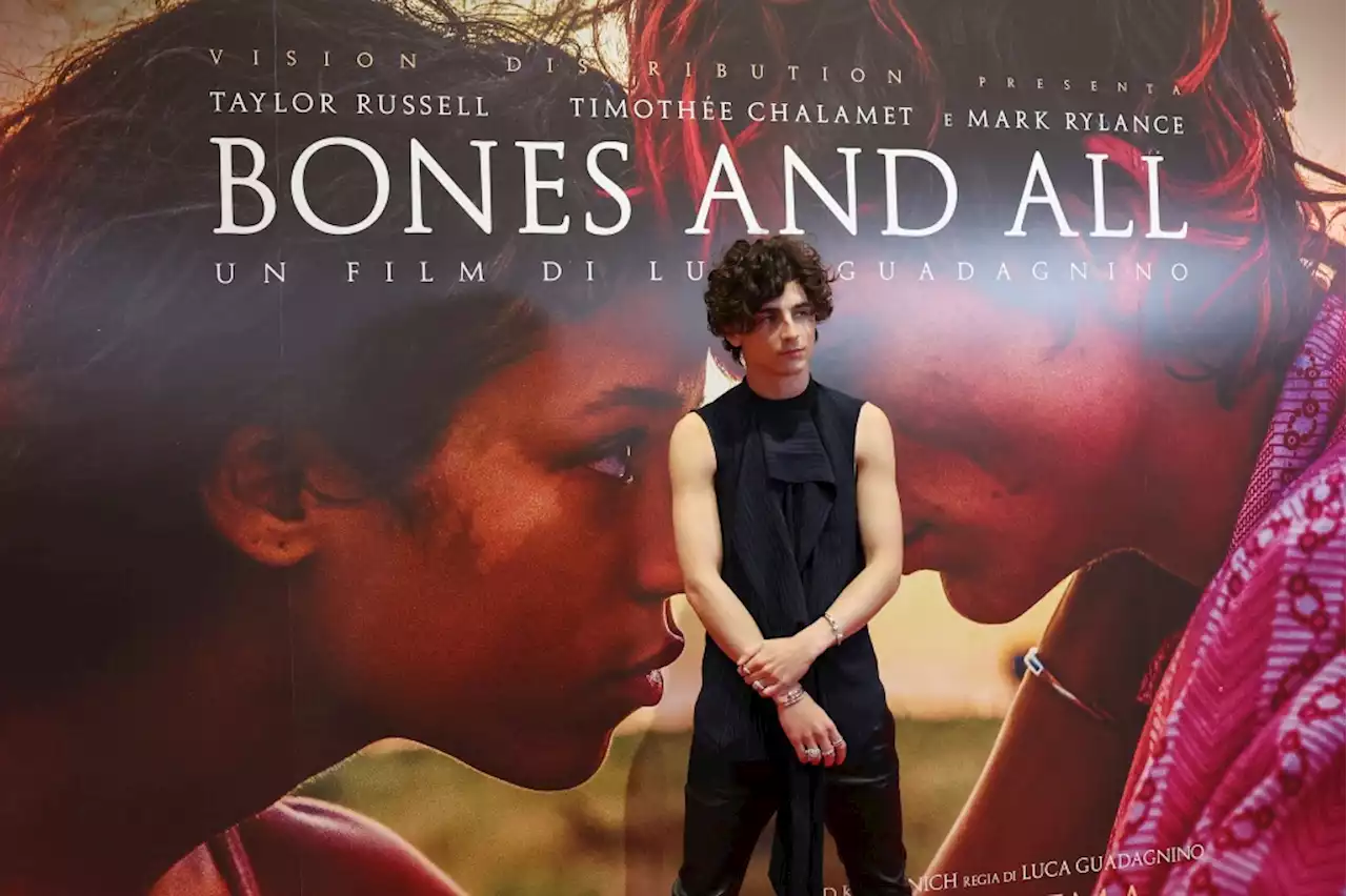 New Video Released Of Timothée Chalamet’s ‘Bones And All’ Milan Premiere Red Carpet Shutdown – Watch