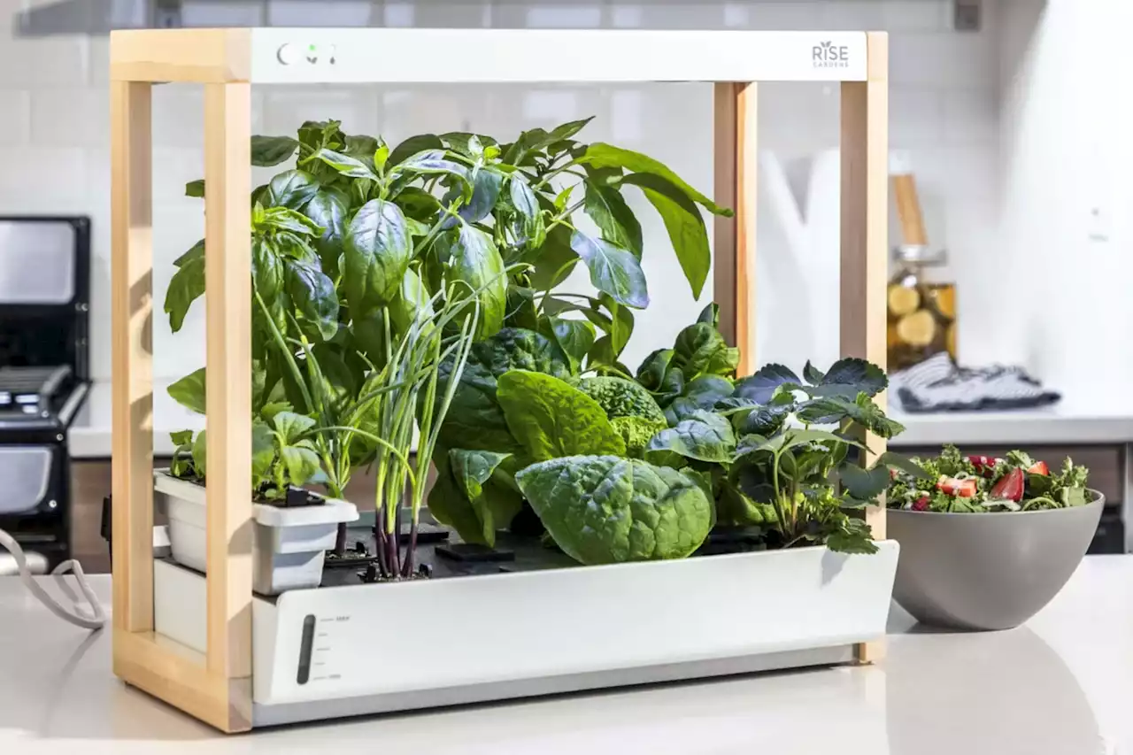 Personal Rise Garden review: grow greens in your kitchen | Digital Trends