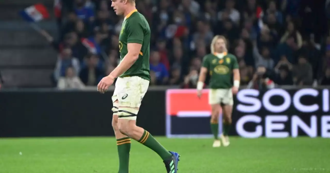 Nienaber's Boks have 'work to do' before World Cup after France loss