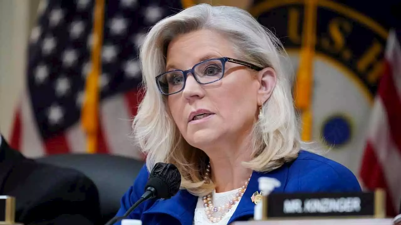 Liberals suggest Liz Cheney should be speaker of House but not everyone agrees