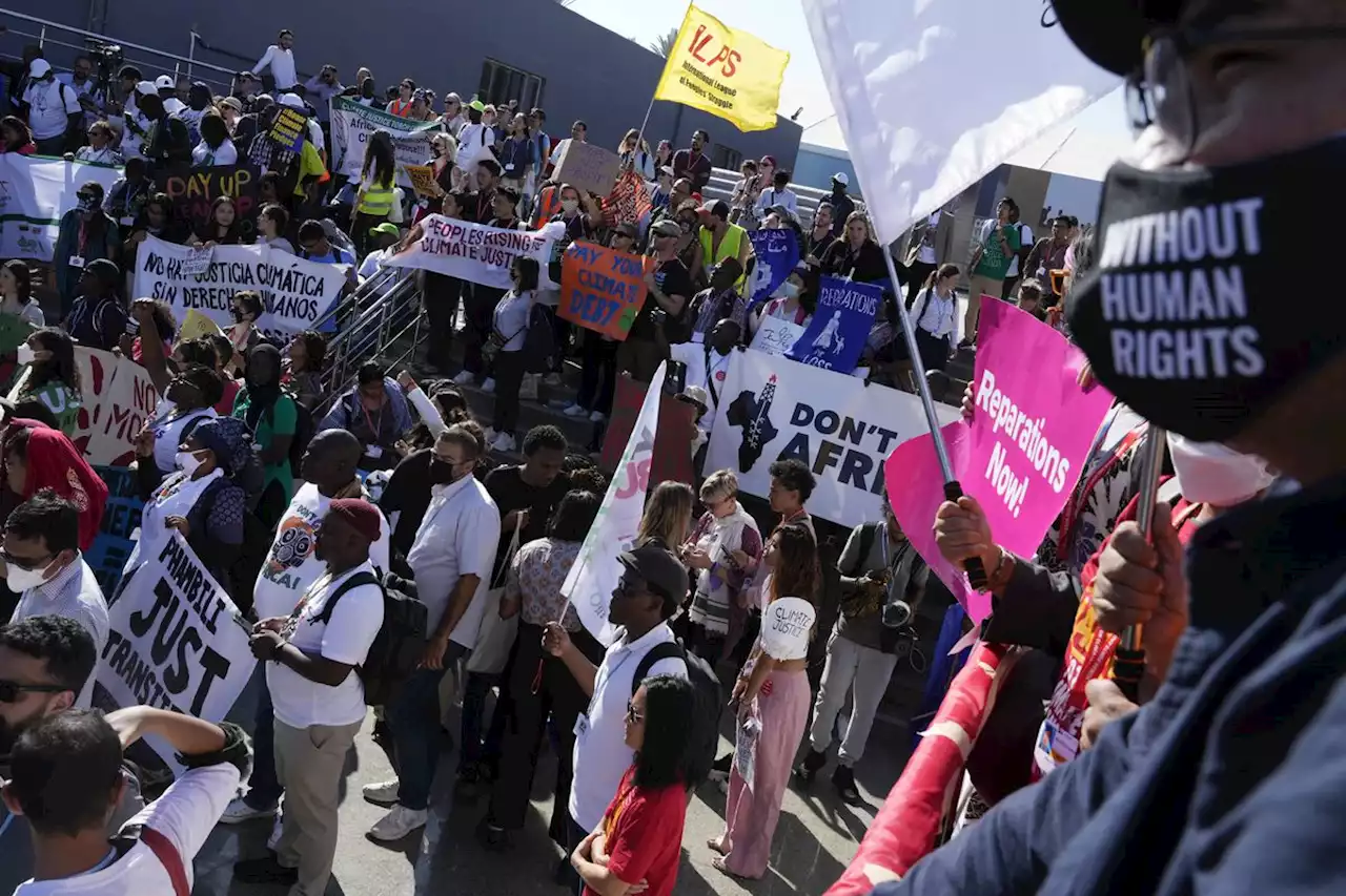 Hundreds protest at COP27 summit in Egypt