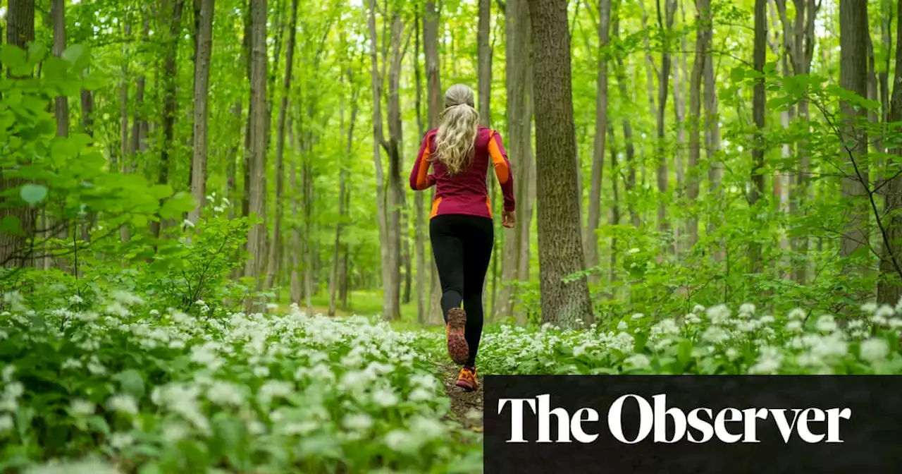 I’m now sober, but feel guilty about a friend I left behind | Ask Philippa