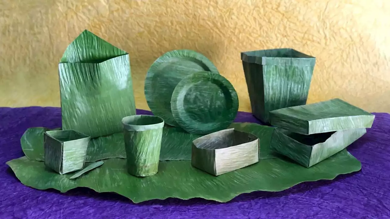 Plastics Are Forever: How About Banana Leaves Instead?