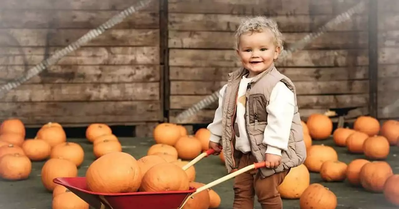 Tributes paid to 'precious' Irish toddler who died in 'tragic' farm accident