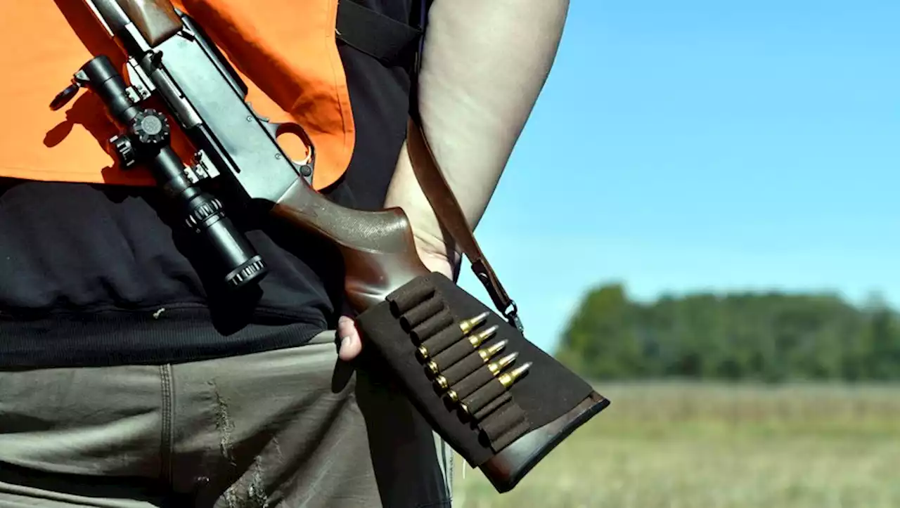 Dans le Vaucluse, un chasseur tué par un autre chasseur qui voulait tirer sur un chevreuil