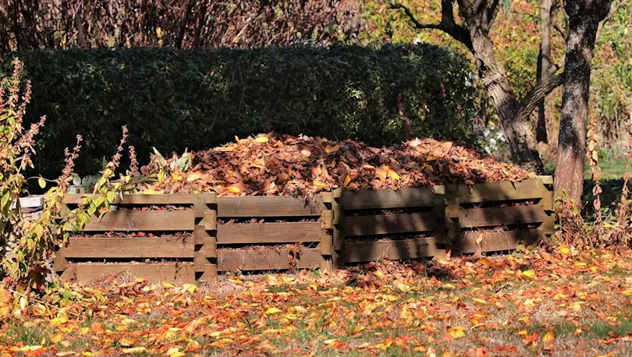 Préparez votre sol à passer l'hiver