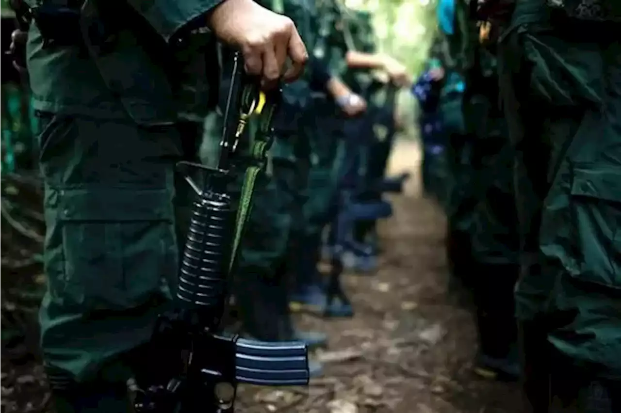 Desmantelan un megalaboratorio de las disidencias de las Farc