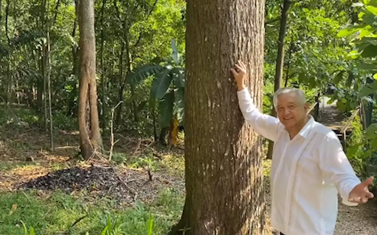 Agradece AMLO felicitaciones por su 69 aniversario