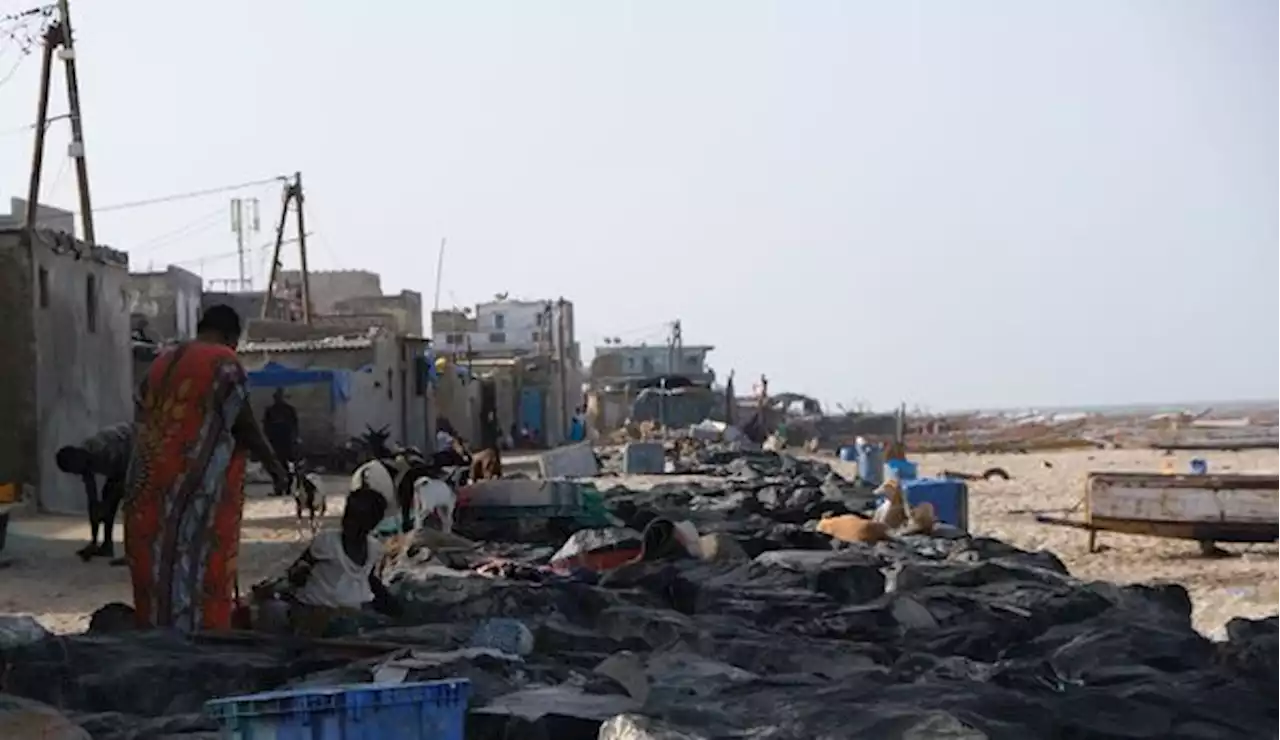 'Nous assistons à la disparition de nos plages' : au Sénégal, à la recherche du sable perdu