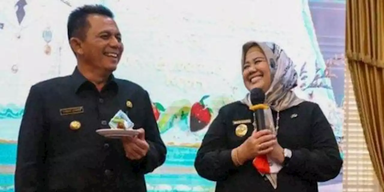 Gubernur dan Wagub Kepri Harus Saling Menjaga Hubungan Baik | merdeka.com