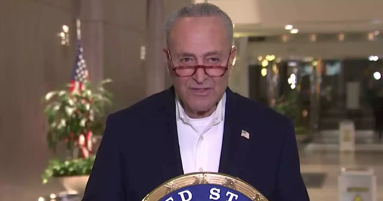 'A victory and a vindication': Schumer reacts to Democrats maintaining control of the Senate