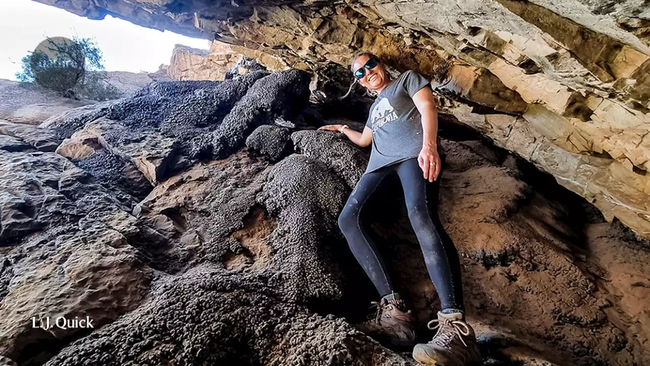 Using hyrax latrines to investigate climate change