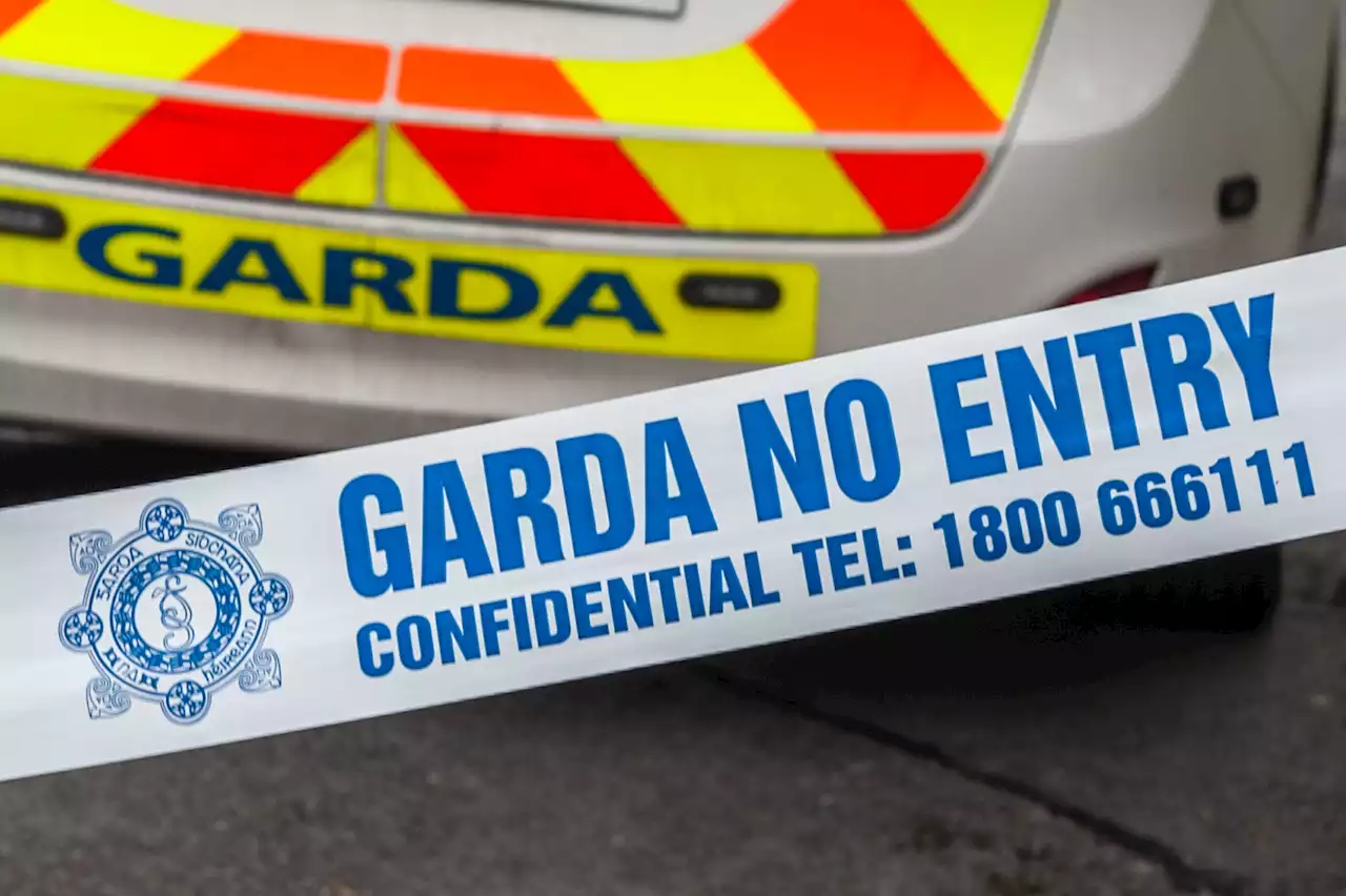 Man arrested after woman's body found in Meath