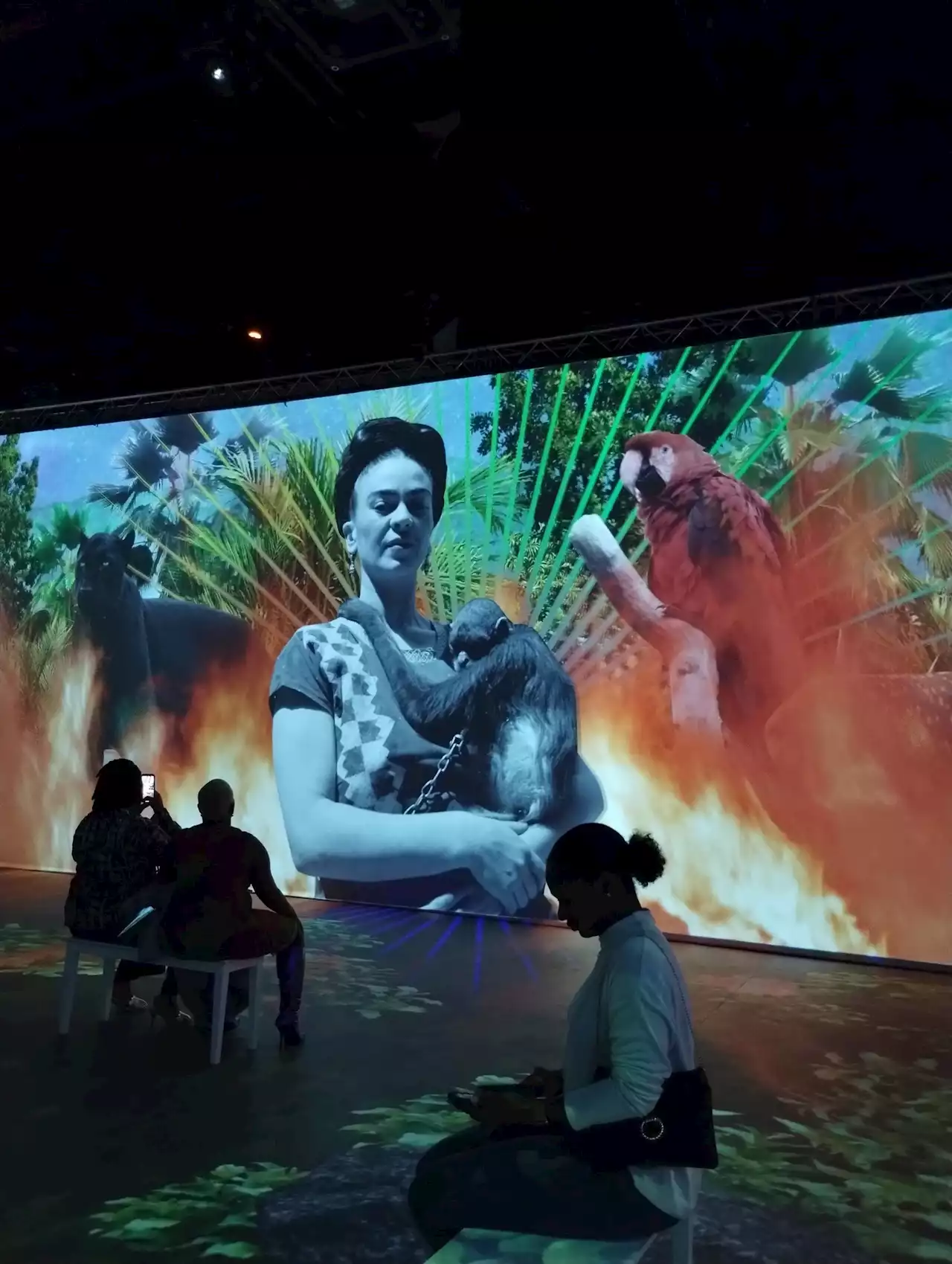 Immersive Frida Kahlo Exhibit opens in Dumbo - New York Amsterdam News