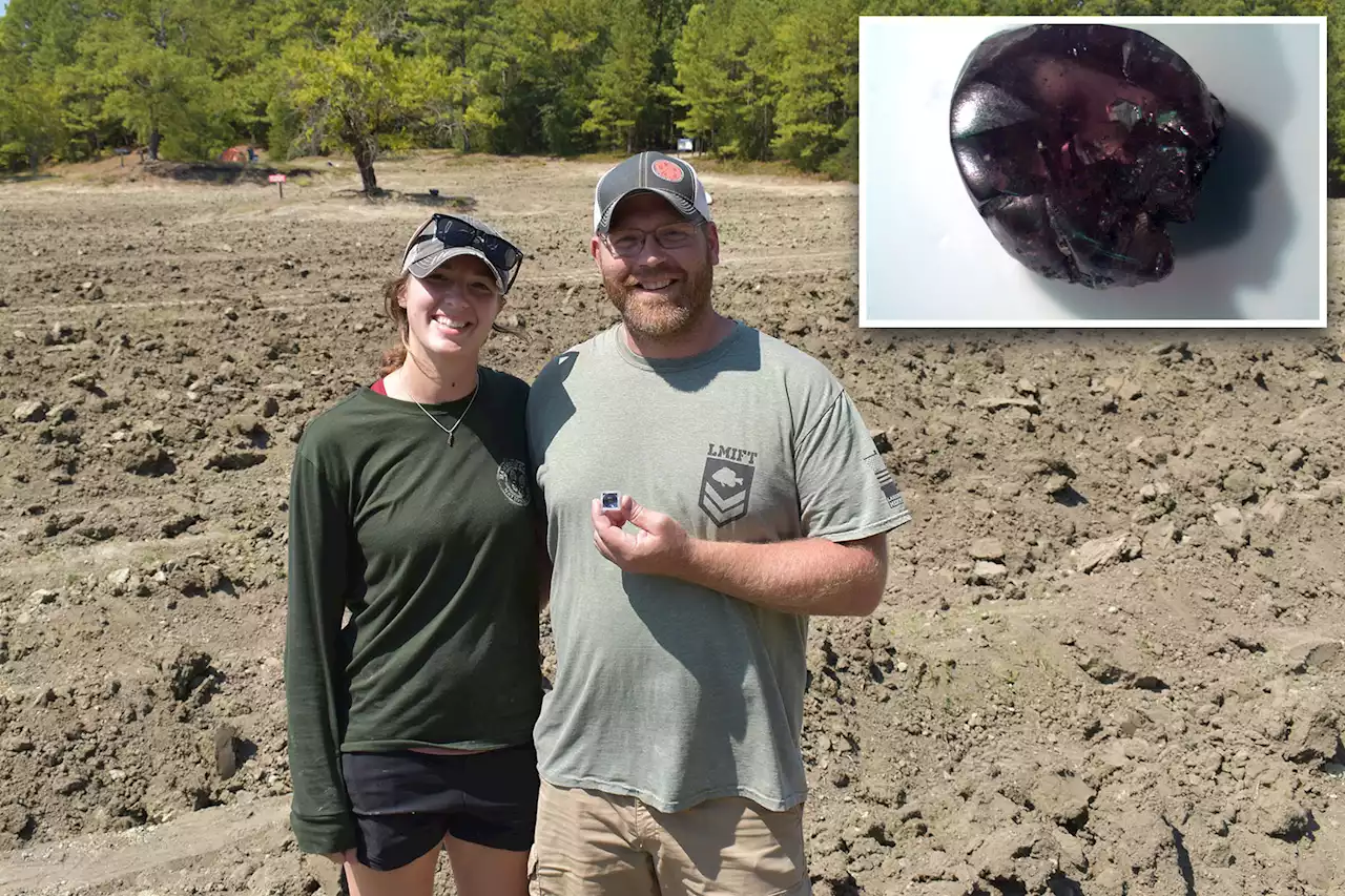 Minnesota couple’s road trip yields a sparkling result with brown diamond