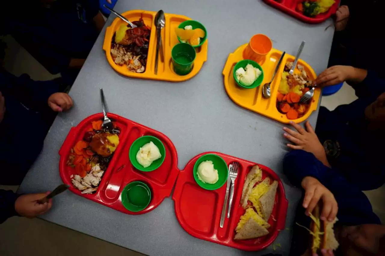 Council confirms children obesity figures increase