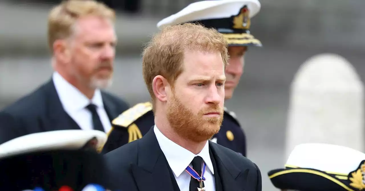 Prince Harry speaks on pain of losing parent in letter for Remembrance Day