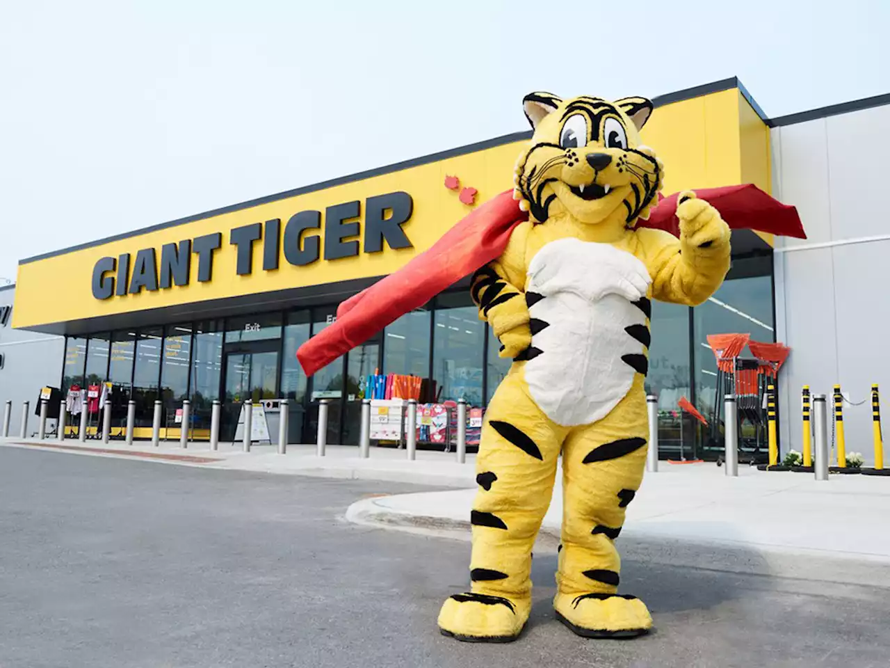 Giant Tiger CEO departs amid efforts to position retailer as go-to discount store for inflation-weary shoppers