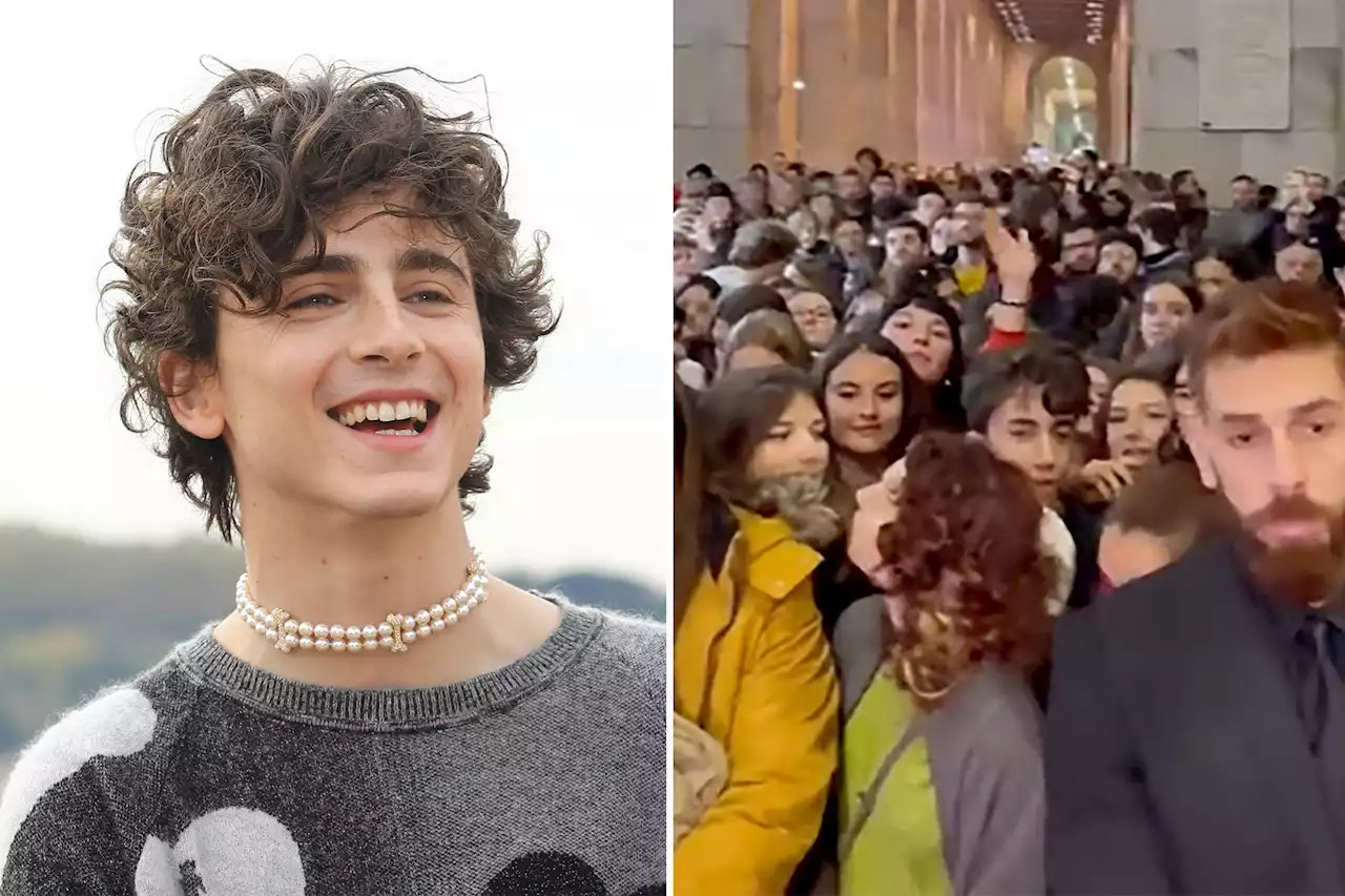 Italian Premiere of Timothée Chalamet’s new movie overrun with fans