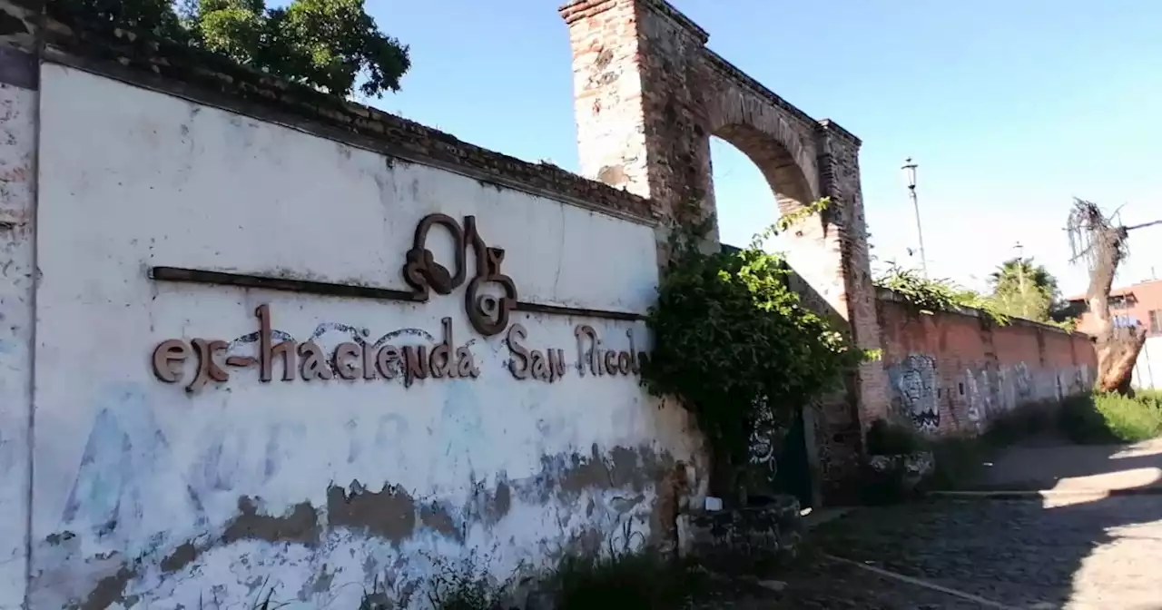 Aurrerá modifica su proyecto en ex hacienda de Celaya; buscan no afectar a los árboles