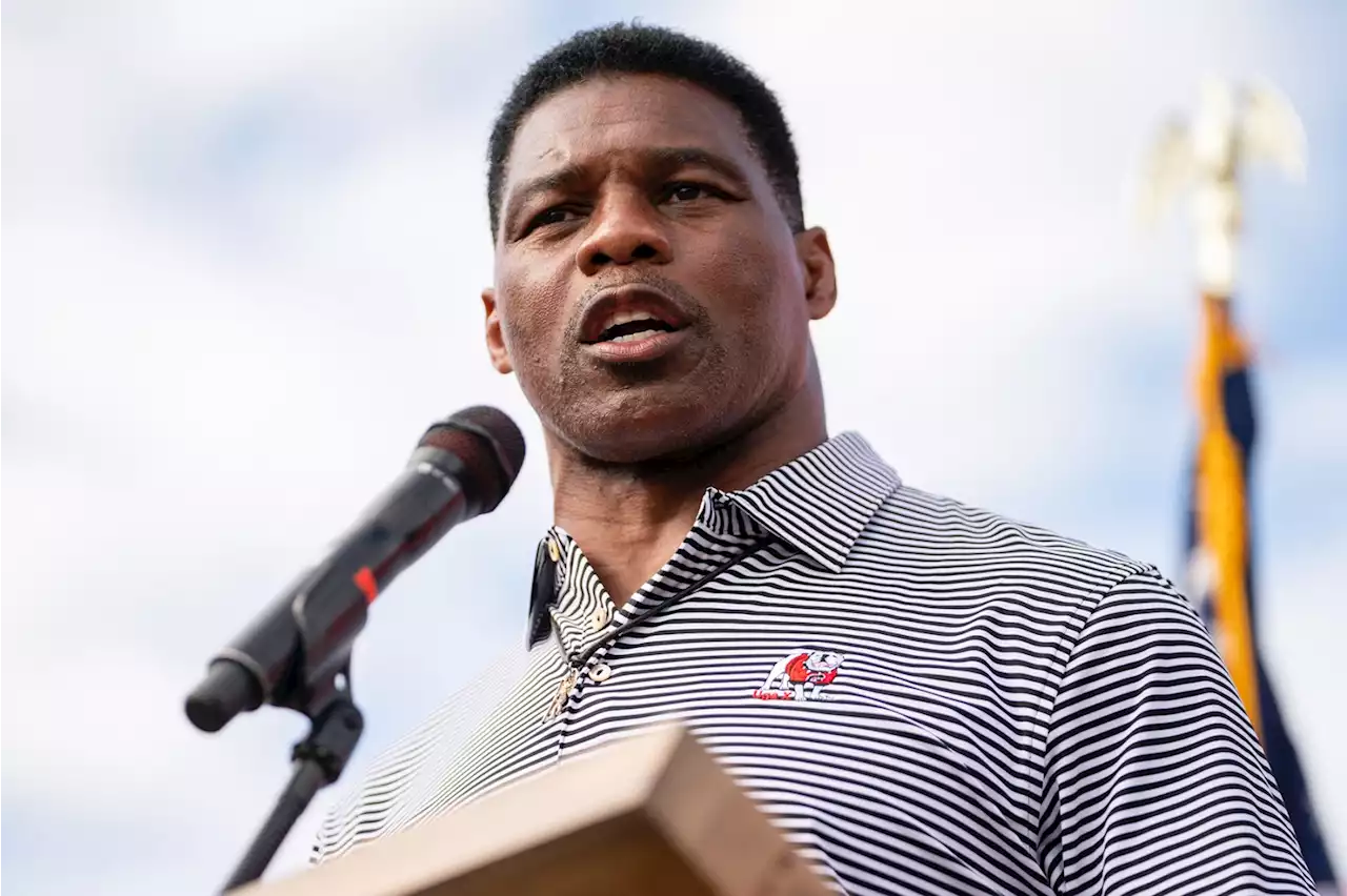 With Herschel Walker, the Stupidity Is the Point