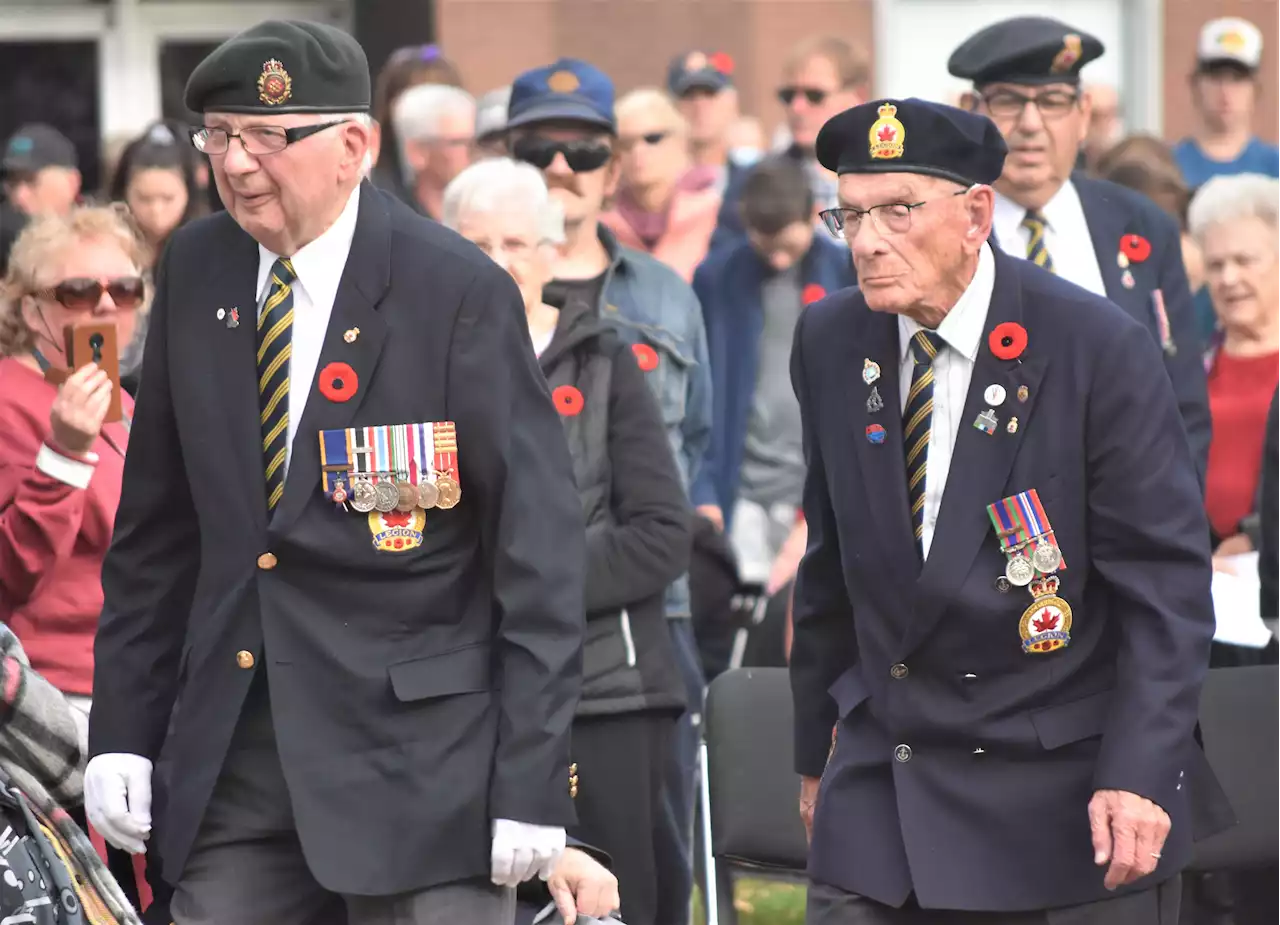 Large crowd gathers for Remembrance Day ceremony in Truro | SaltWire