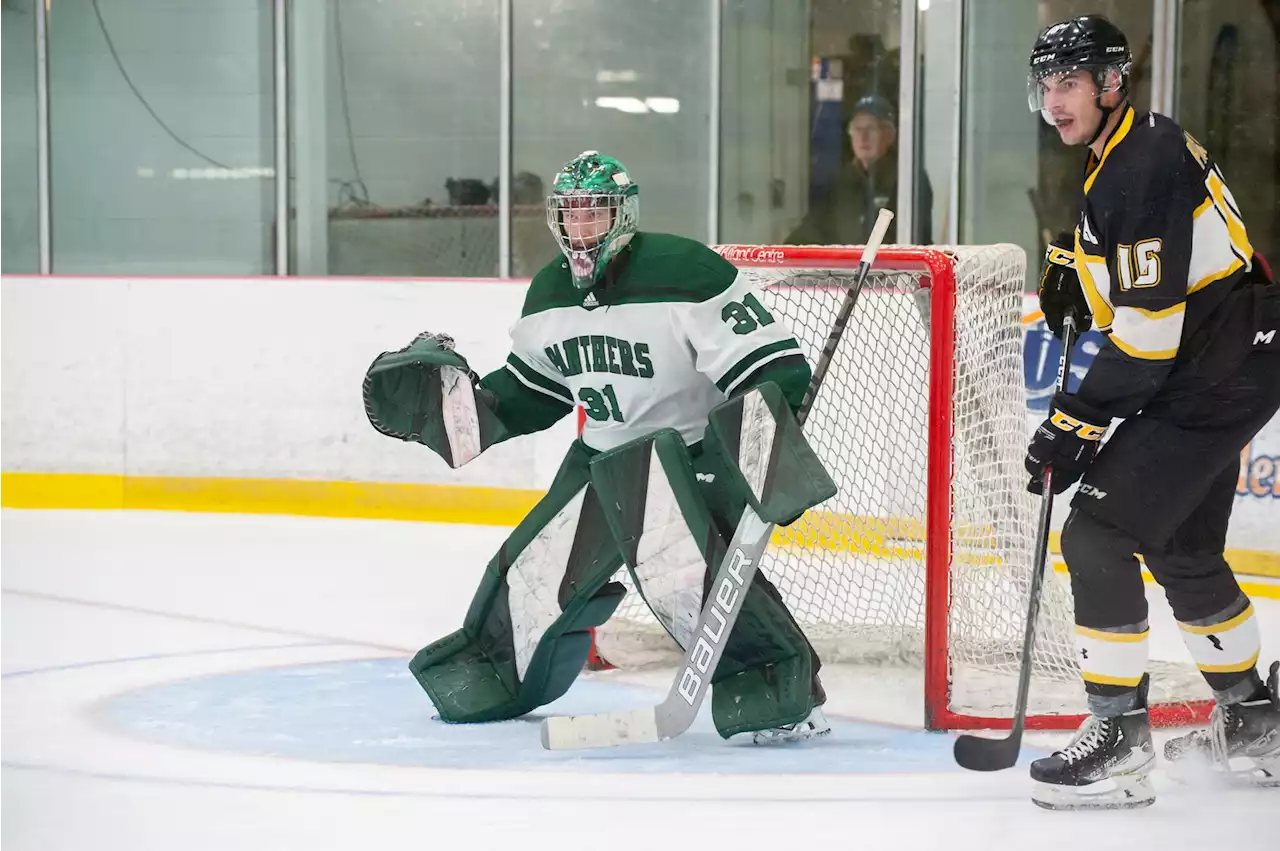 UPEI Panthers continue strong play in AUS men's hockey | SaltWire