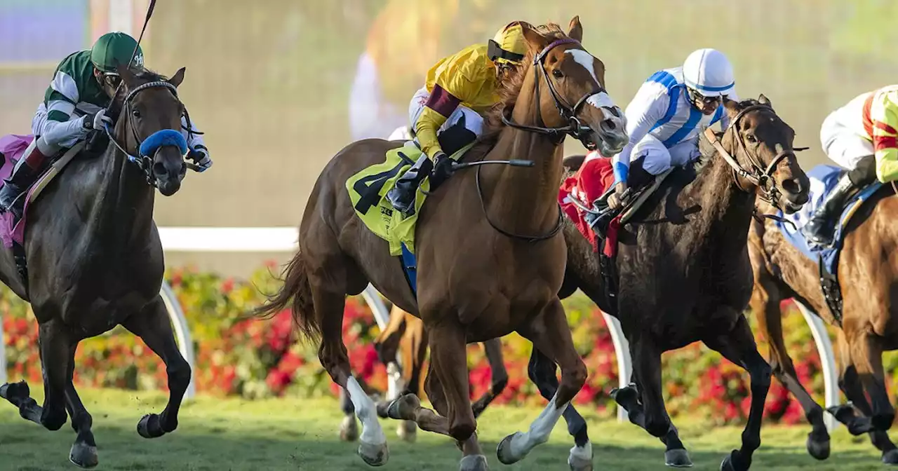 Jockey Juan Hernandez handing out riding lessons thus far at Del Mar