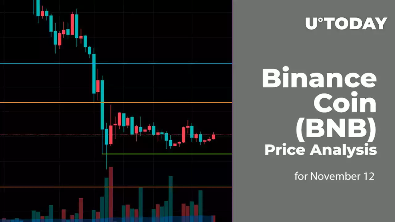 Binance Coin (BNB) Price Analysis for November 12