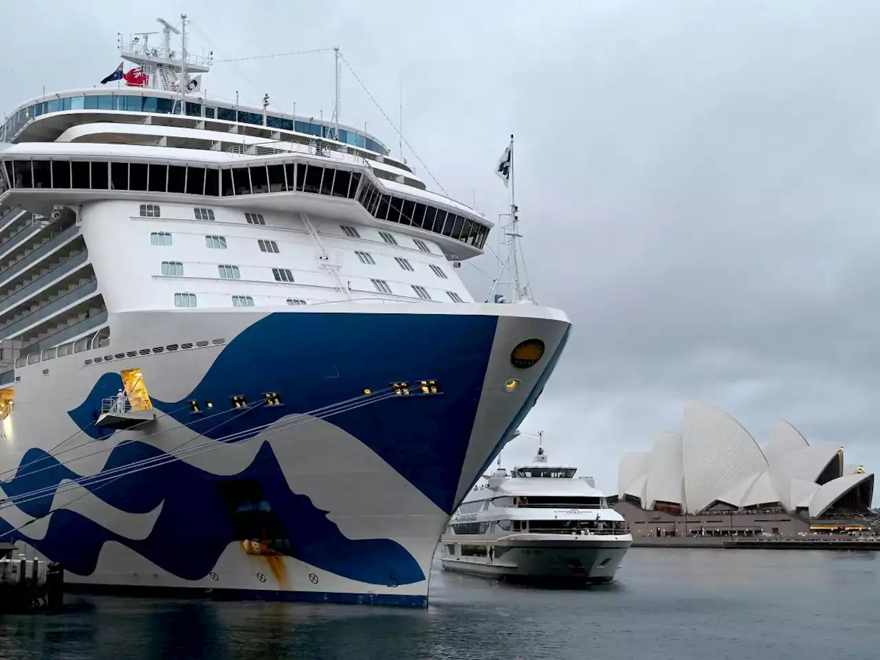 Cruise ship docks in Sydney after 800 people on board infected by COVID outbreak