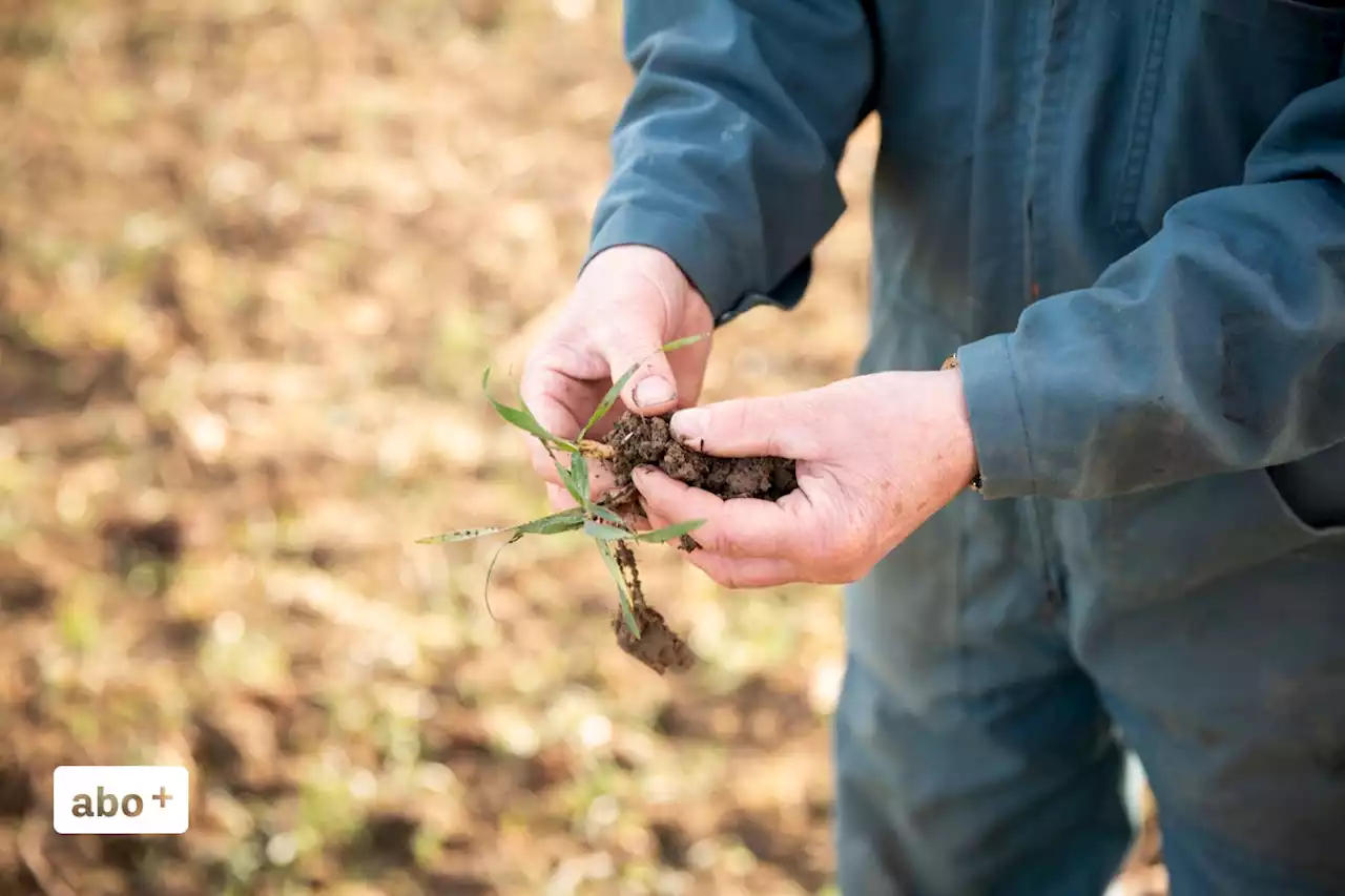 Wie Politik und Bund die landwirtschaftliche Produktion prägen