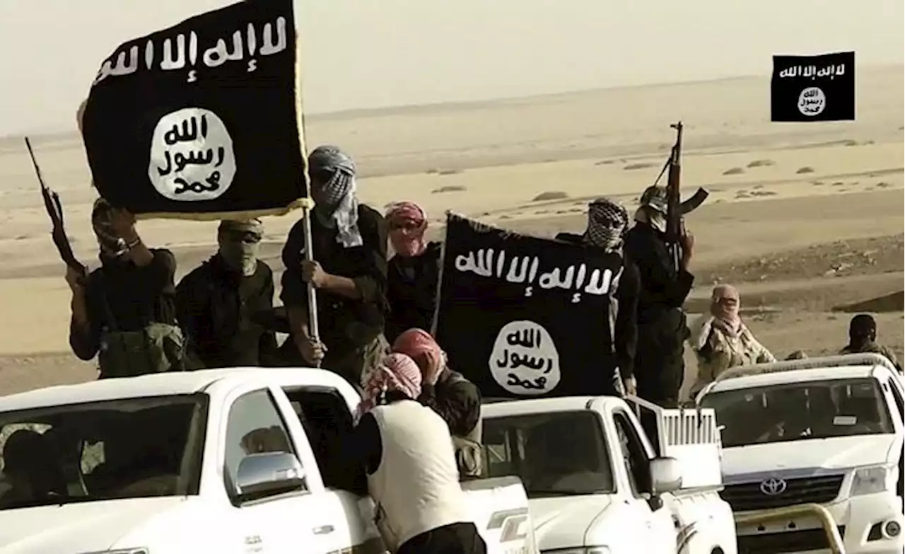 Are Red Flags About IS in South Africa Alarmist?