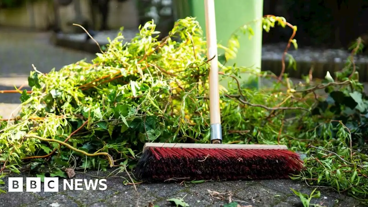 Sandwell Council considers charging for collecting garden waste