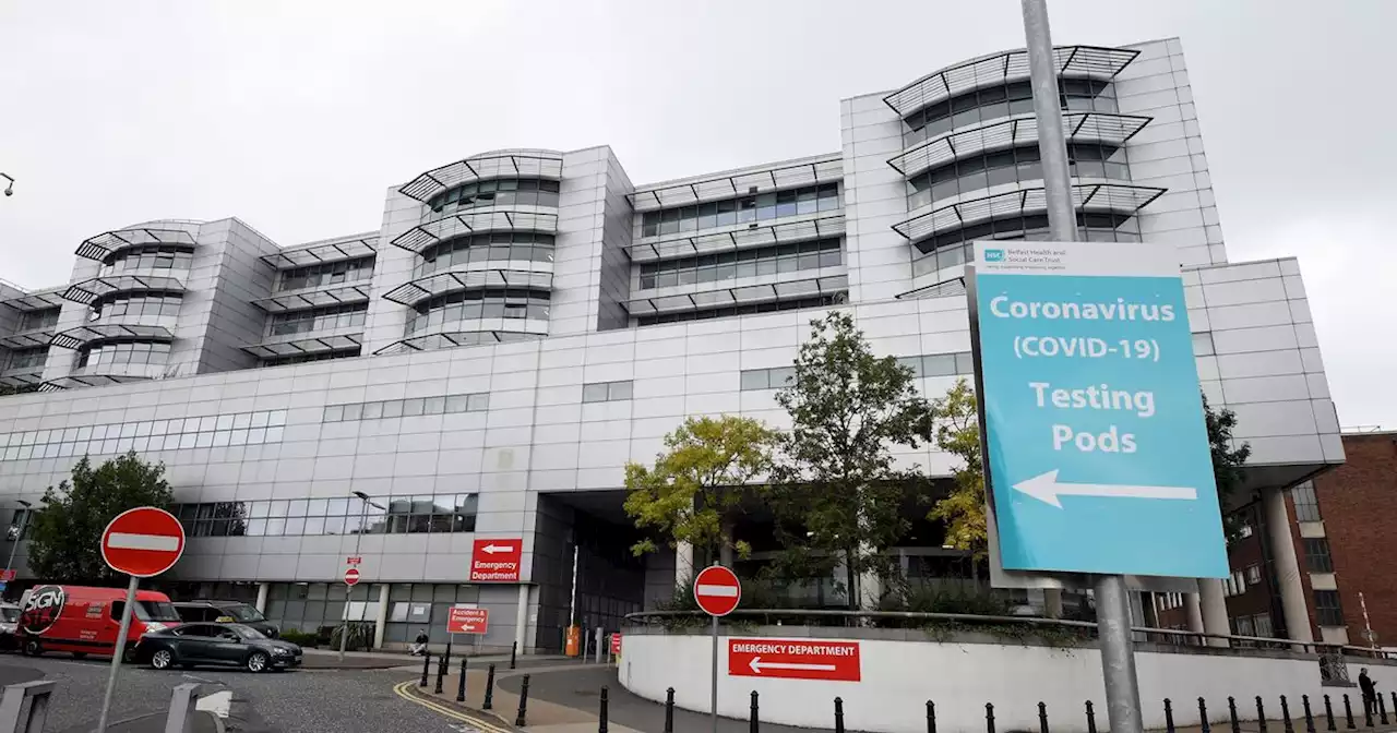 Elderly patient 'dies on trolley' awaiting admission to Belfast hospital