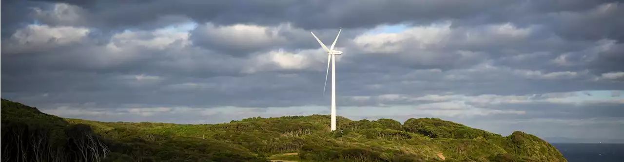 G20 Bahas Transisi Energi, Indonesia Belum Ketok RUU EBT Ini Kata Pengusaha