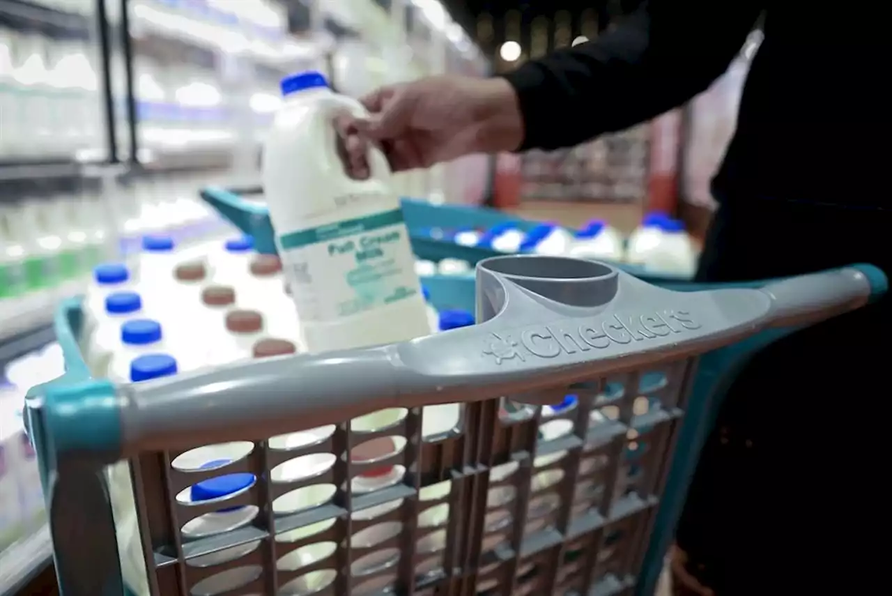 Checkers is rolling out new trolley baskets – made from recycled milk bottles | Businessinsider