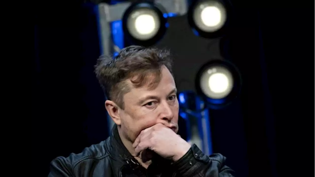 Musk complains of 'too much work' after taking over Twitter - BNN Bloomberg