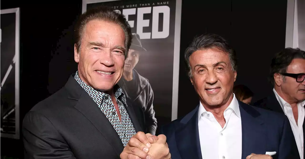 Sylvester Stallone Admitted That He Used To Really Hate Arnold Schwarzenegger In The 1980s