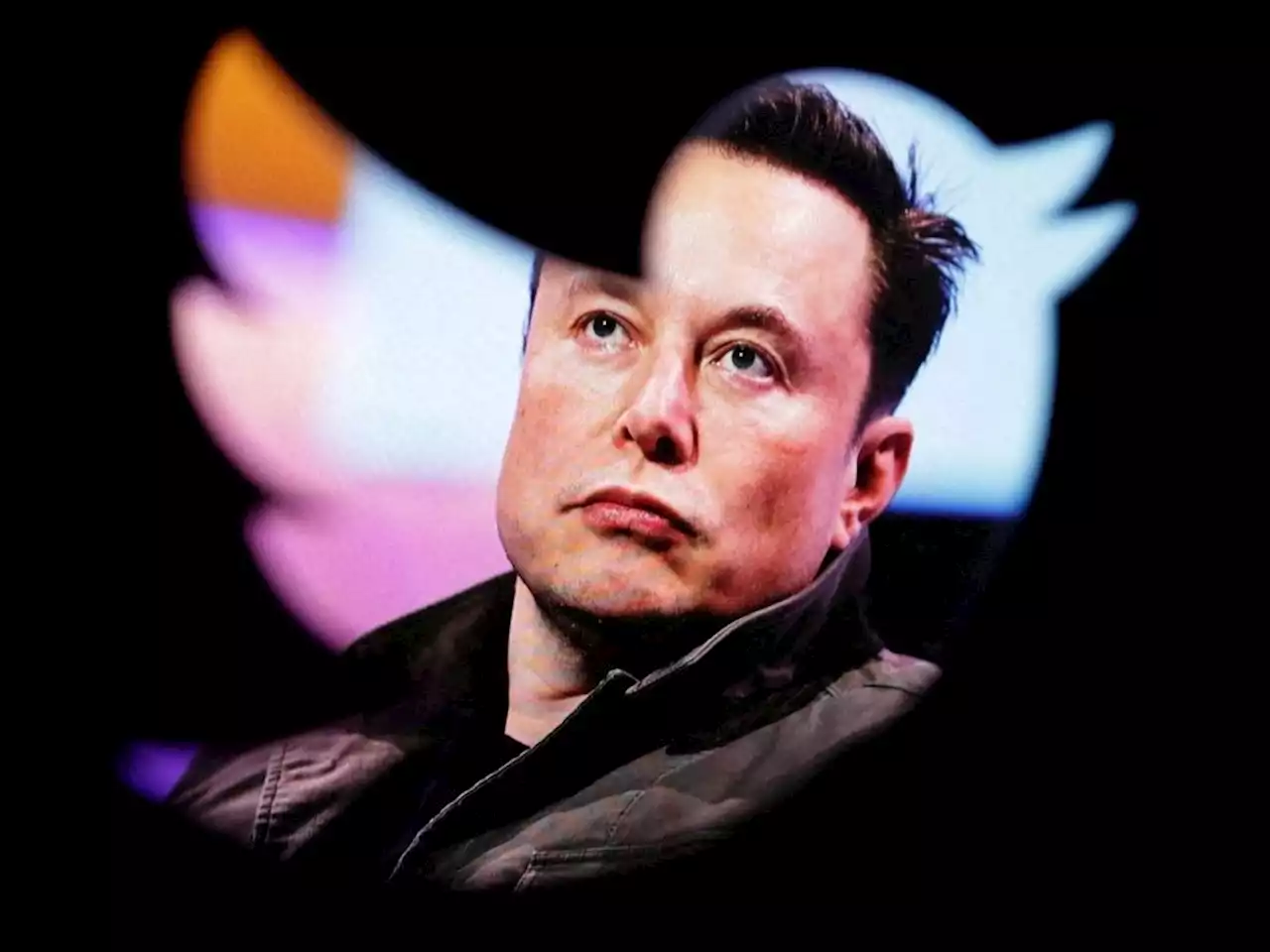 Elon Musk's latest Twitter cuts: outsourced content moderators